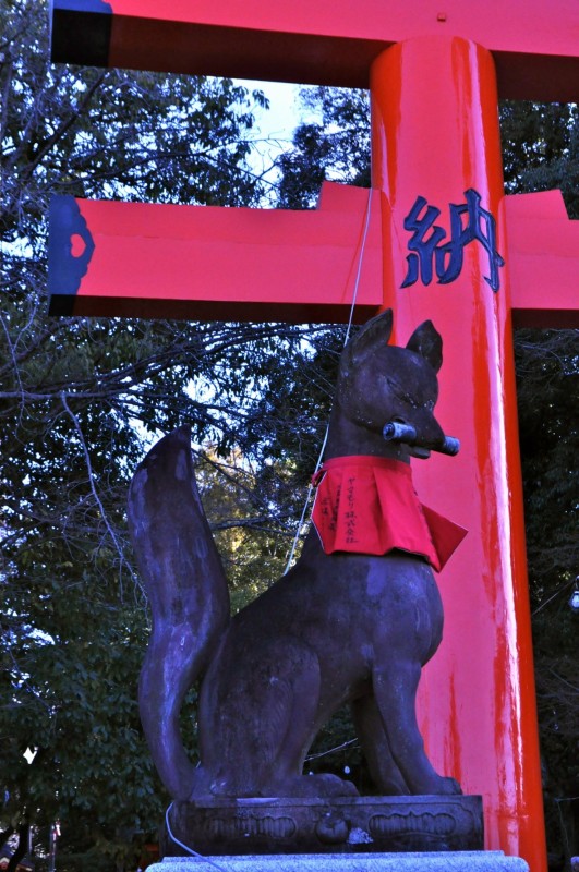 Fushimi Inari Shrine Fox