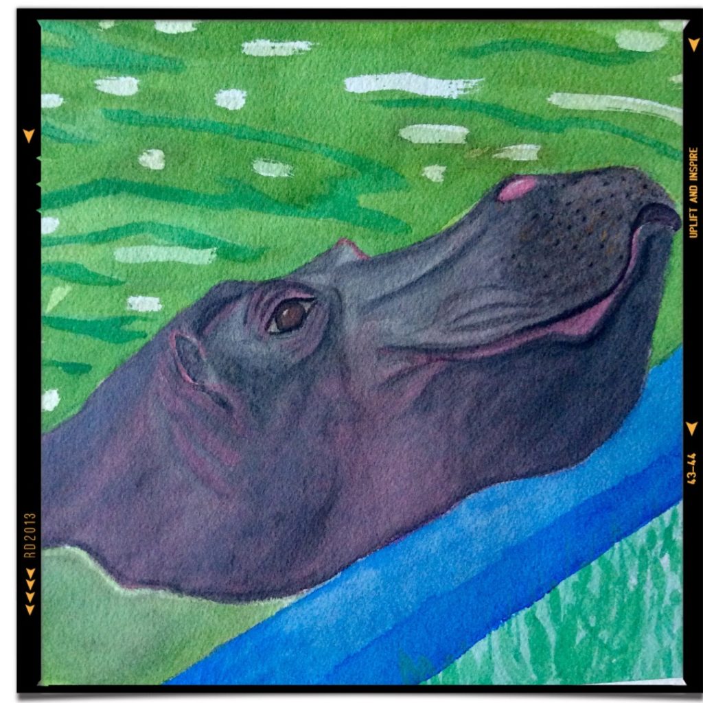 Watercolour Hippo By Truth Devour